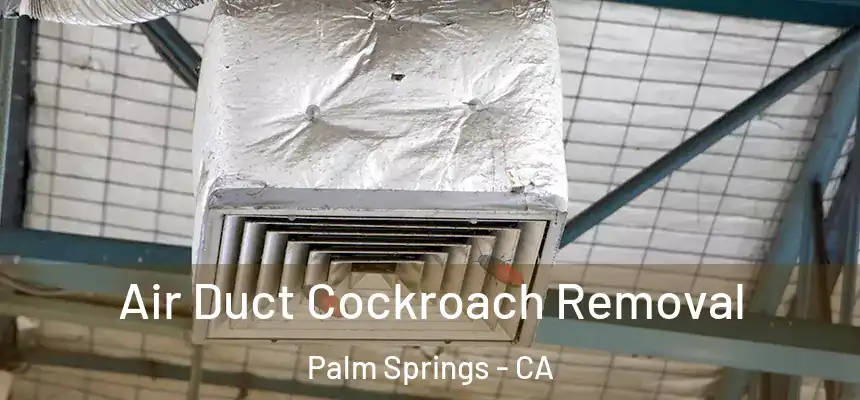 Air Duct Cockroach Removal Palm Springs - CA