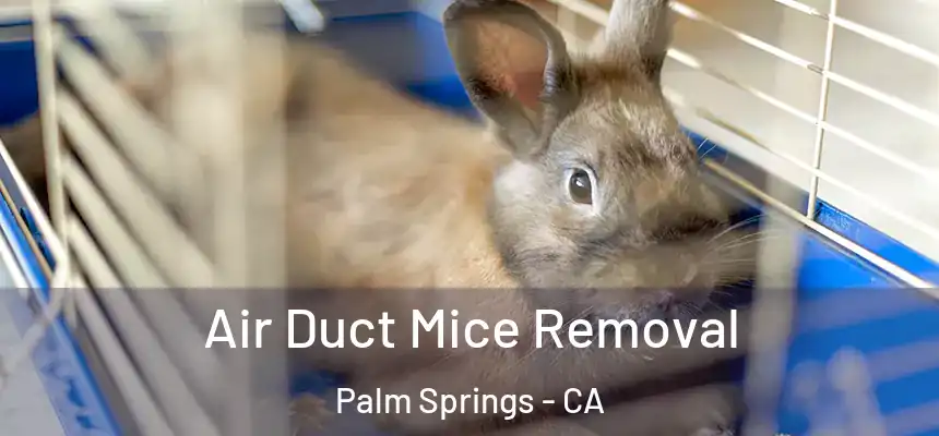 Air Duct Mice Removal Palm Springs - CA