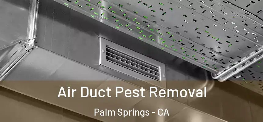 Air Duct Pest Removal Palm Springs - CA