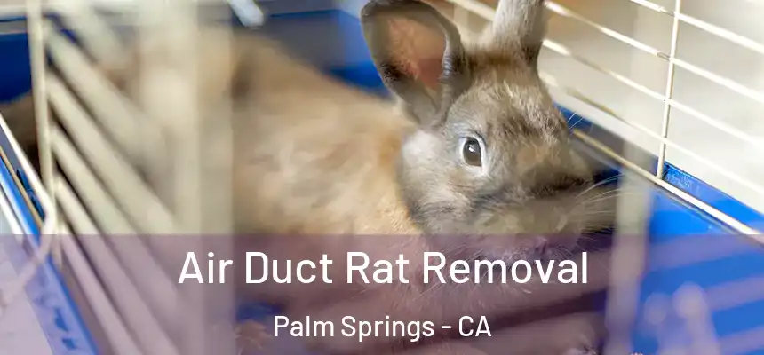 Air Duct Rat Removal Palm Springs - CA