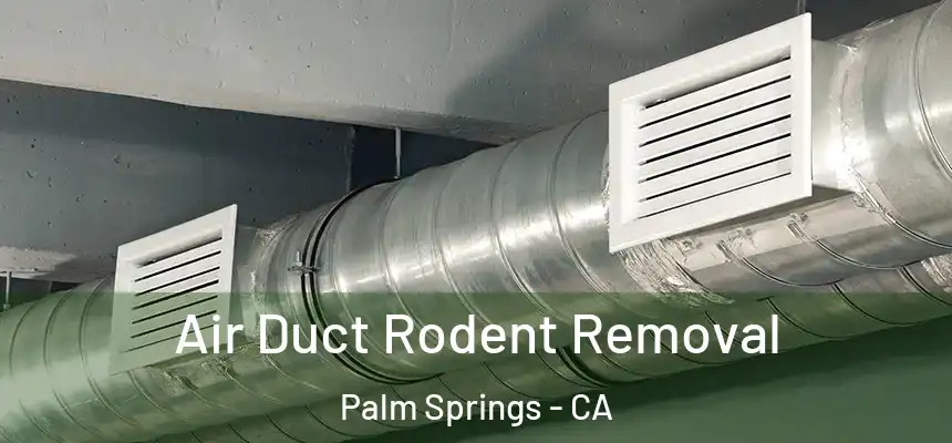 Air Duct Rodent Removal Palm Springs - CA