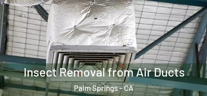 Insect Removal from Air Ducts Palm Springs - CA