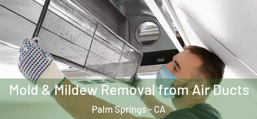 Mold & Mildew Removal from Air Ducts Palm Springs - CA