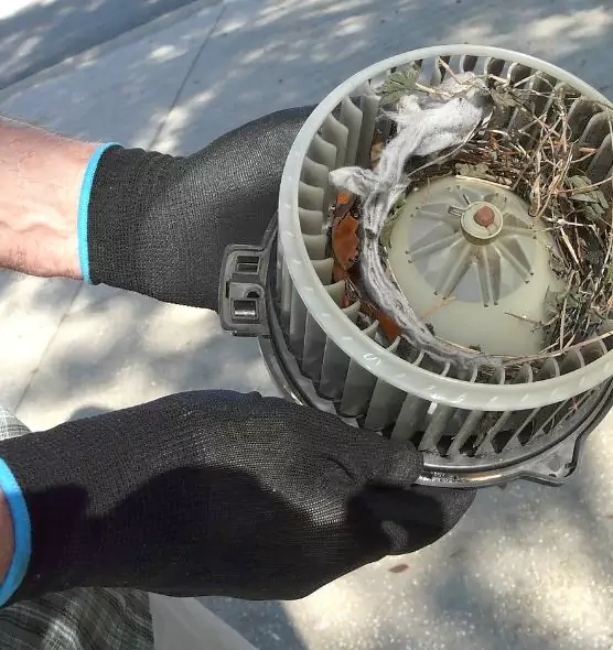 About Air Duct Mice Removal in Palm Springs, CA