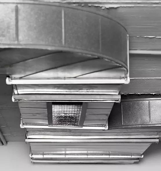 Professional Air Duct Pet Hair Removal in Palm Springs, CA