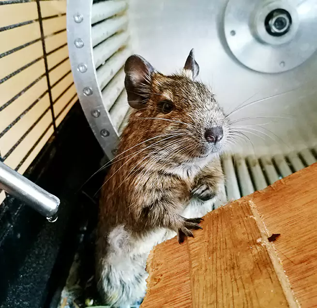 Why Homeowners & Businesses Trust Us Palm Springs, CA