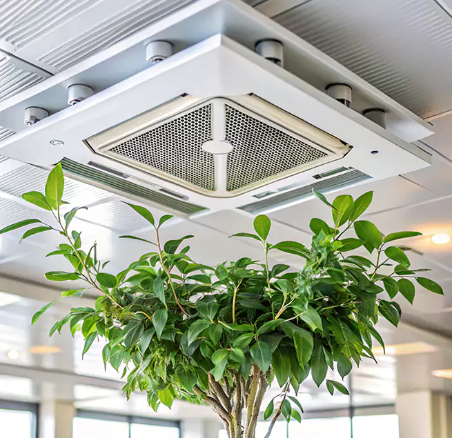 Why Homeowners & Businesses Trust Us in Palm Springs, CA